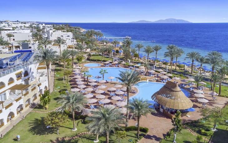Sharm El Sheikh, Hotel Albatros Royal