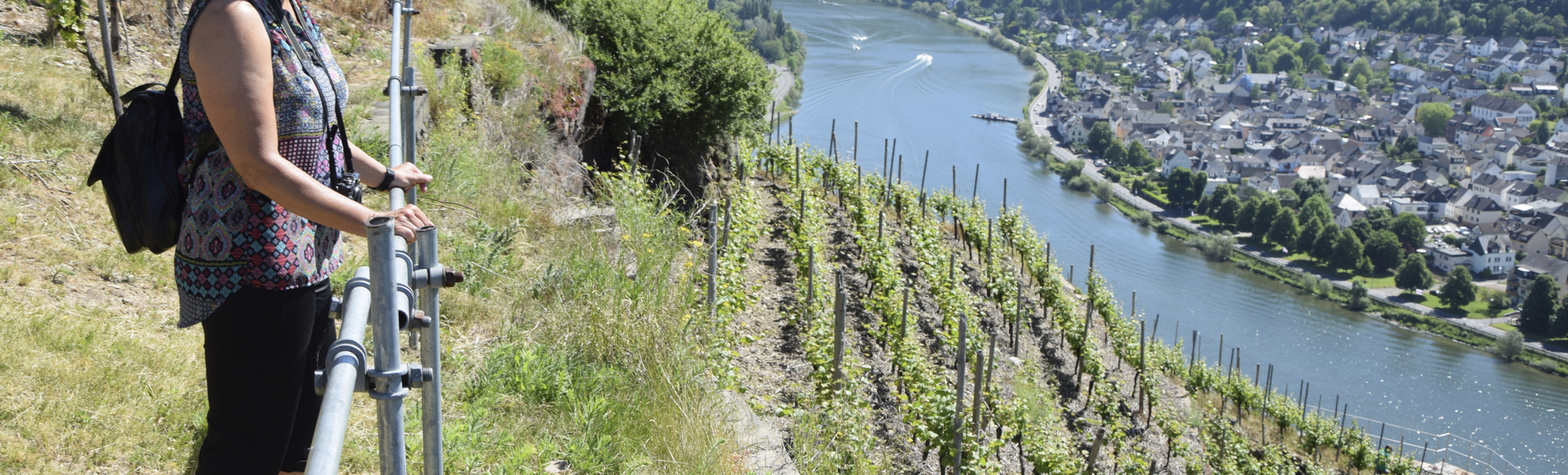 Rheinpanorama bei Koblenz