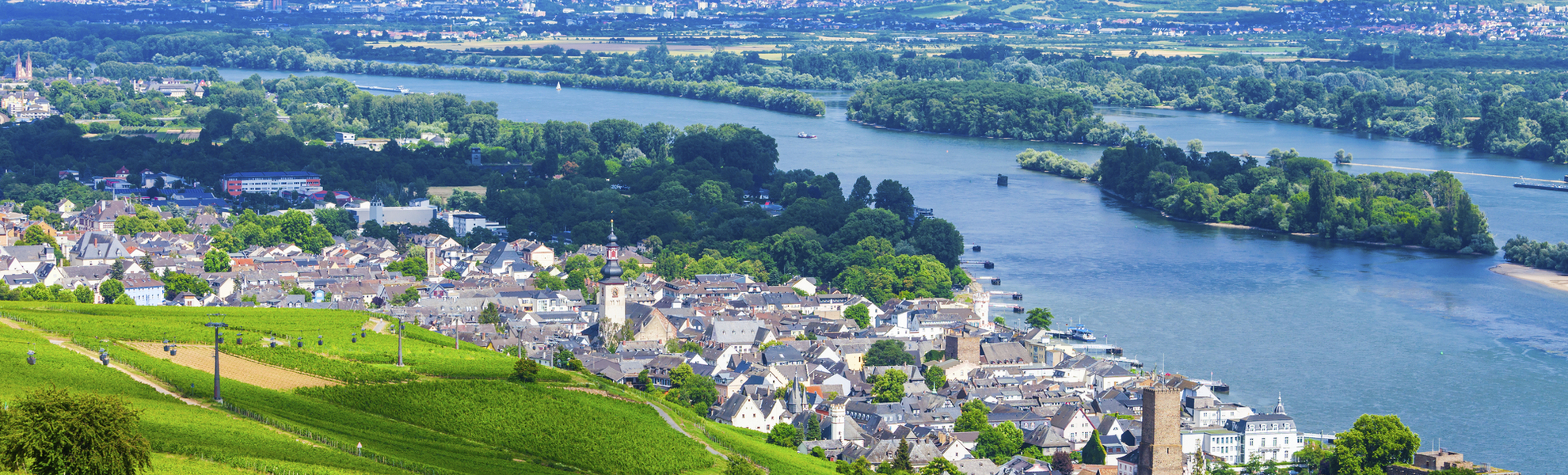 Ausblick auf die Weinfelder bei Rüdesheim, Deutschland