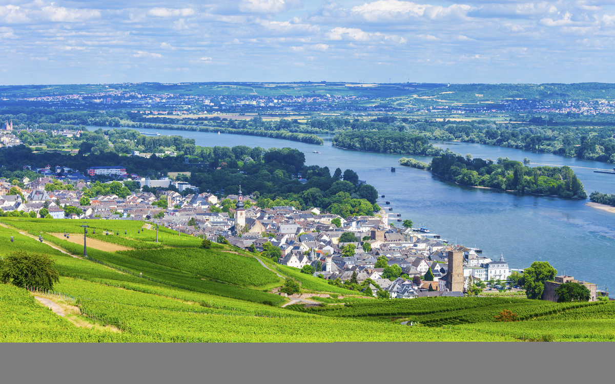 Ausblick auf die Weinfelder bei Rüdesheim, Deutschland