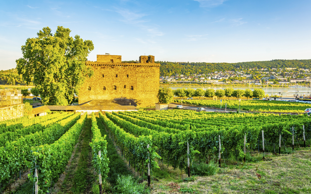 Rüdesheim, Rhein
