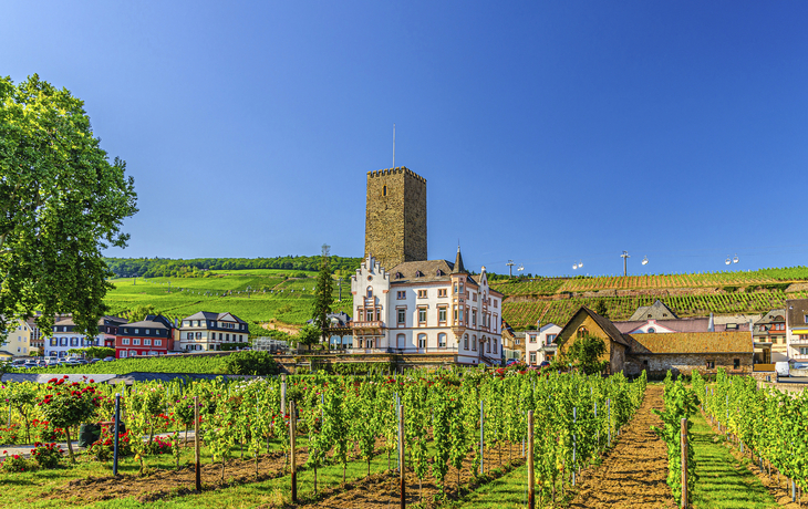 Rüdesheim