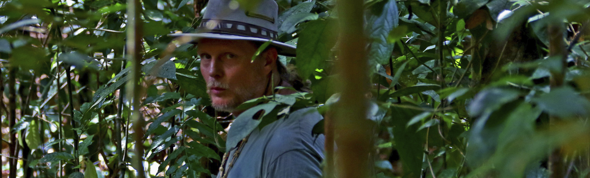 Phoenix Reiseleiter im Regenwald von Brasilien