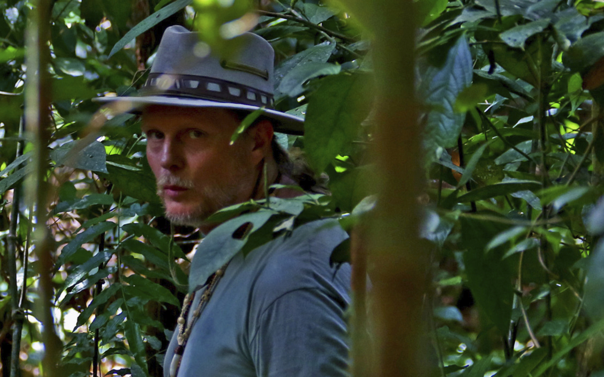 Phoenix Reiseleiter im Regenwald von Brasilien