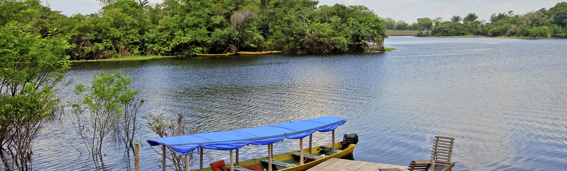 Rio Negro Ufer, Brasilien
