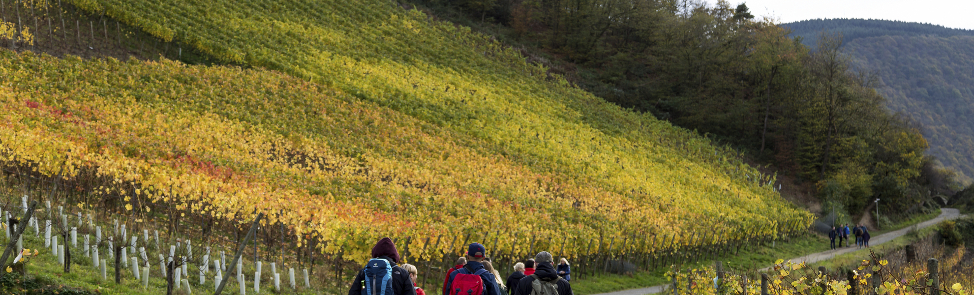 Wandern an der Mosel, Deutschland