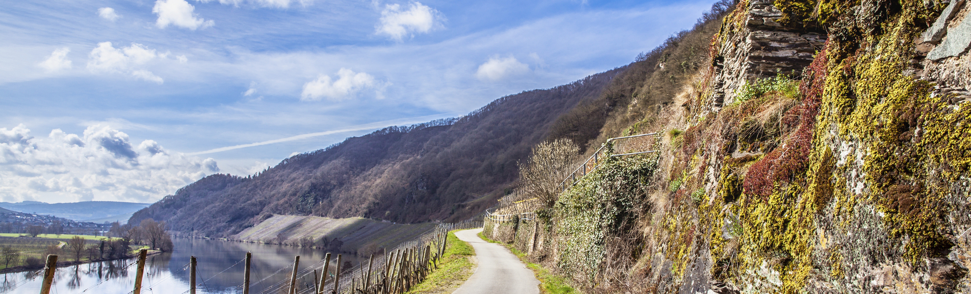 Mosel Landschaft