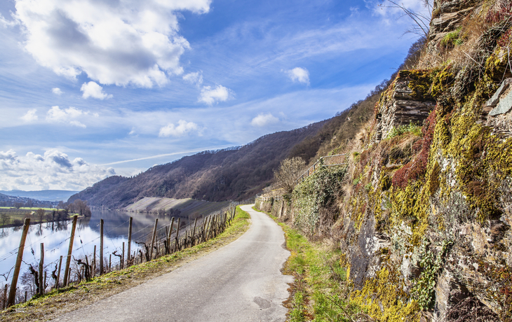 Mosel Landschaft