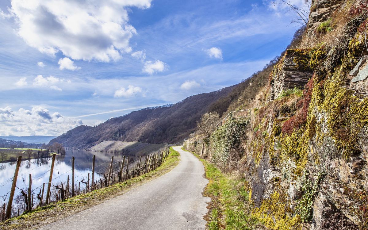 Mosel Landschaft