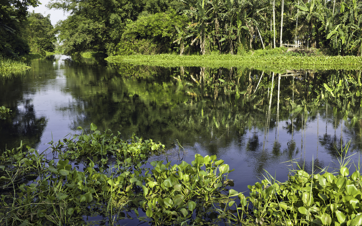 Fluss Majuli in Assam, Indien