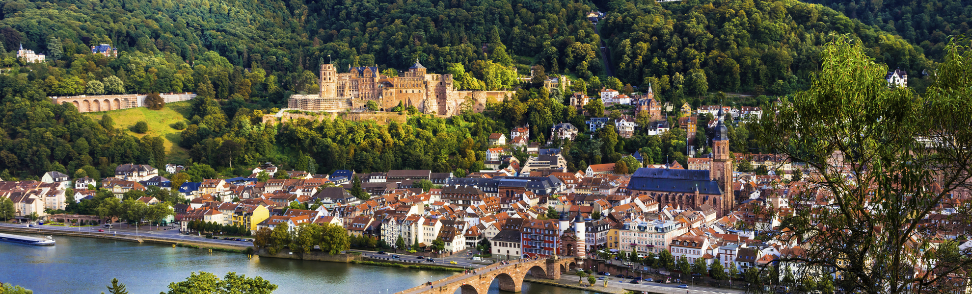 Stadtpanorama von Heidelberg
