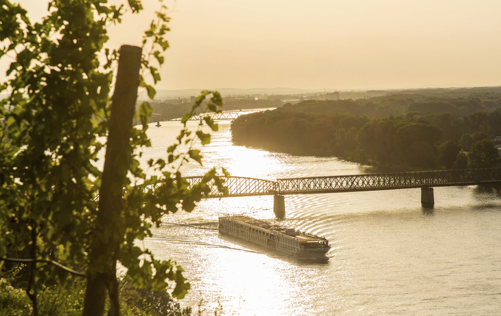 MS A-Silver im Sonnenuntergang auf der Donau