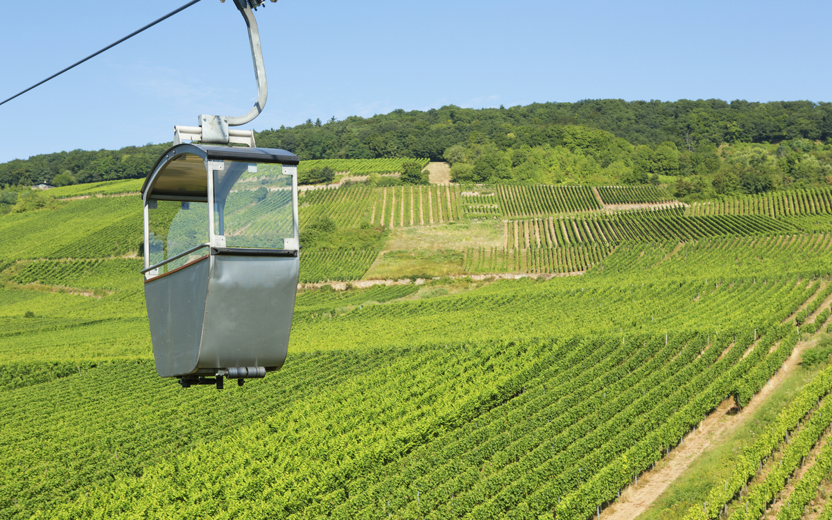 Weinberge von Ruedesheim, Deutschland