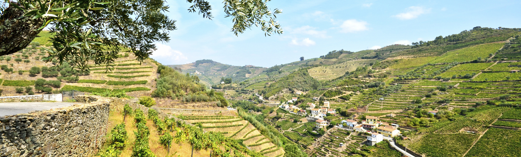 Portugiesische Weintäler