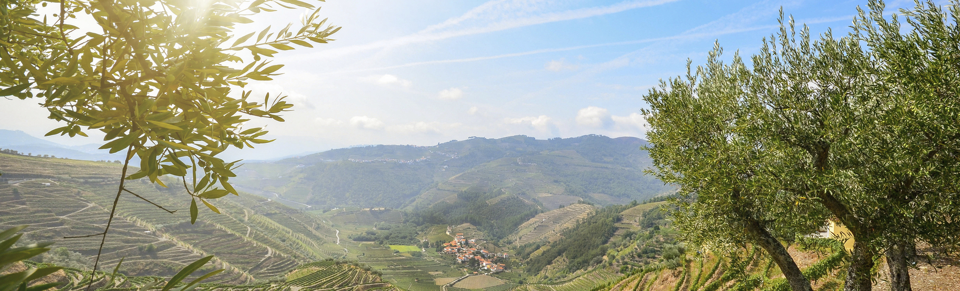 Weingebiet Alto Douto, Portugal