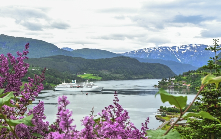 MS Deutschland in Ulvik