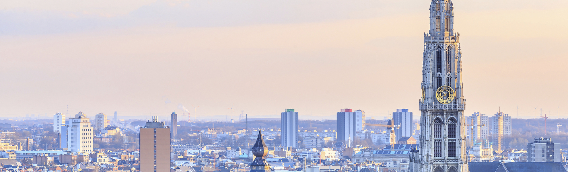 Skyline mit Domkirche von Antwerpen, Belgien