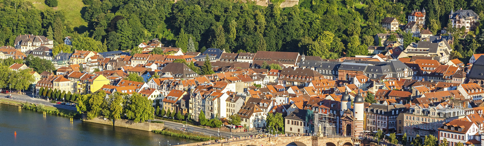 Panorama der Stadt Heidelberg mit Schloss, Deutschland