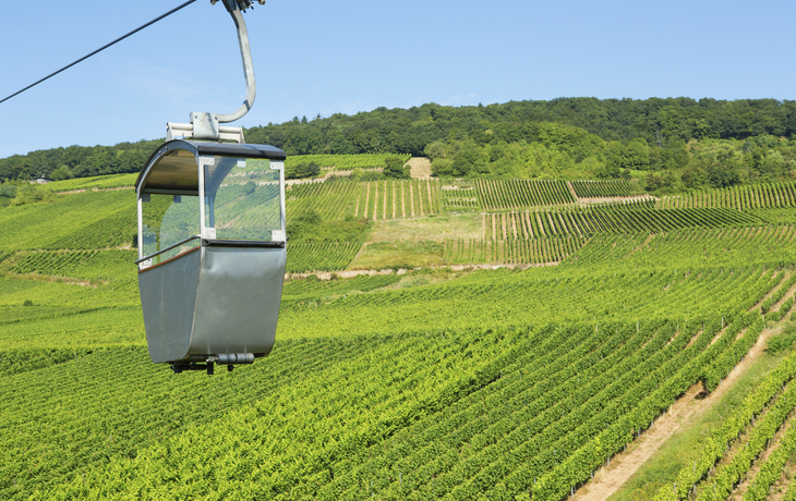 Weinberge von Ruedesheim, Deutschland