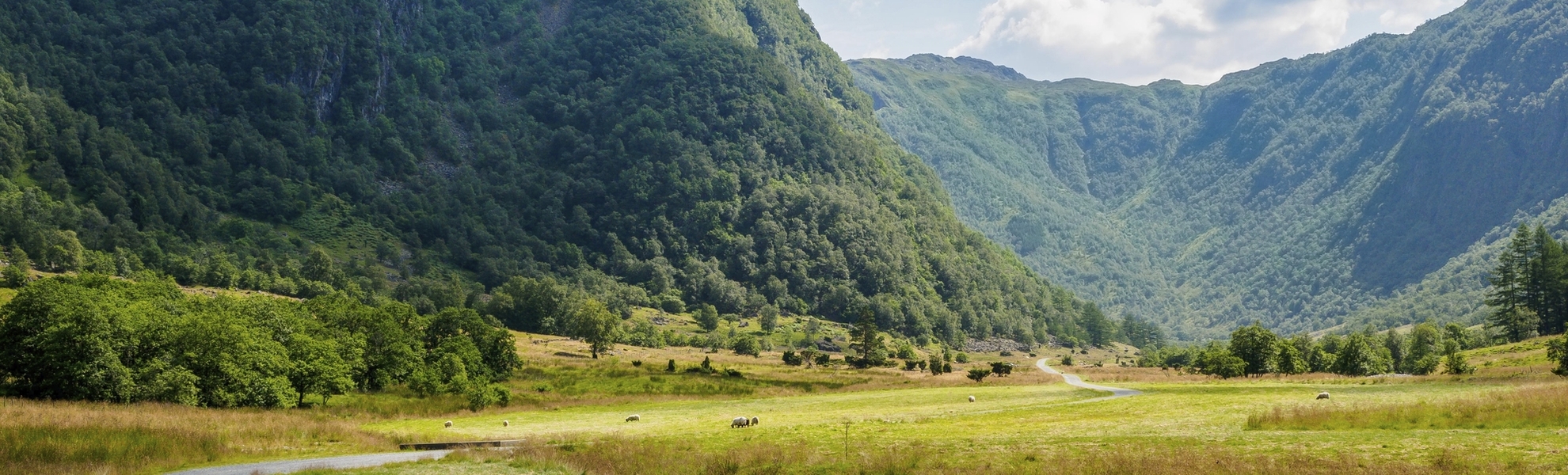 Überlandfahrt nach Rosendal