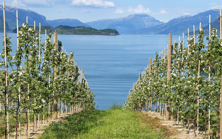 Hardangerfjord, Norwegen