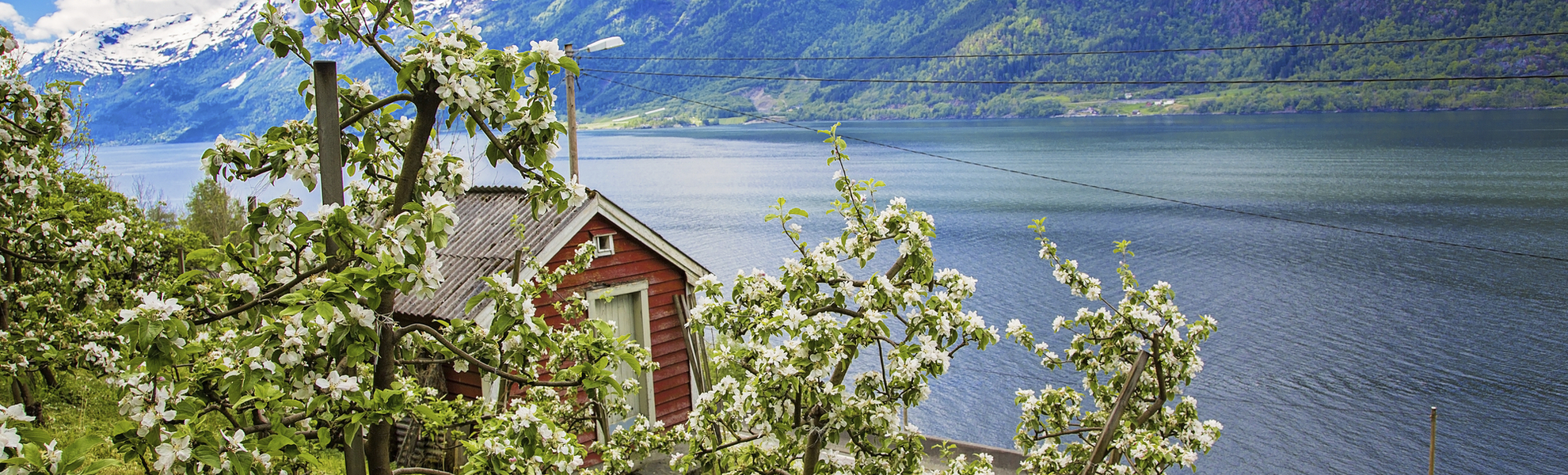 Hardangerfjord, Norwegen