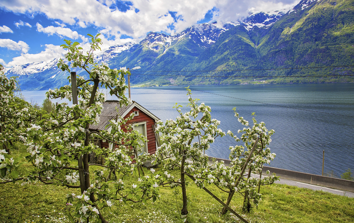 Hardangerfjord, Norwegen
