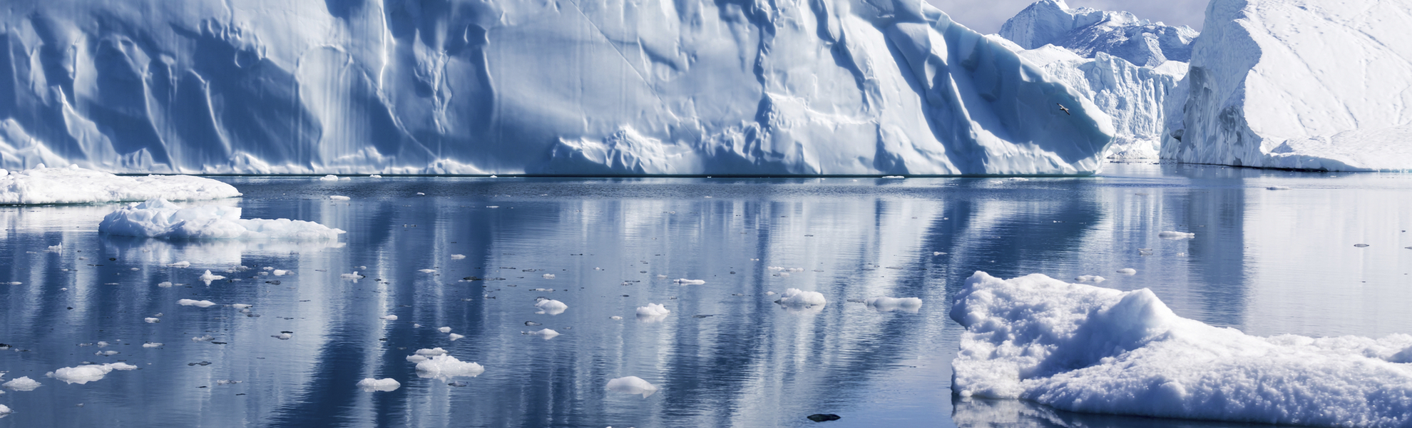 Eisberge in Grönland