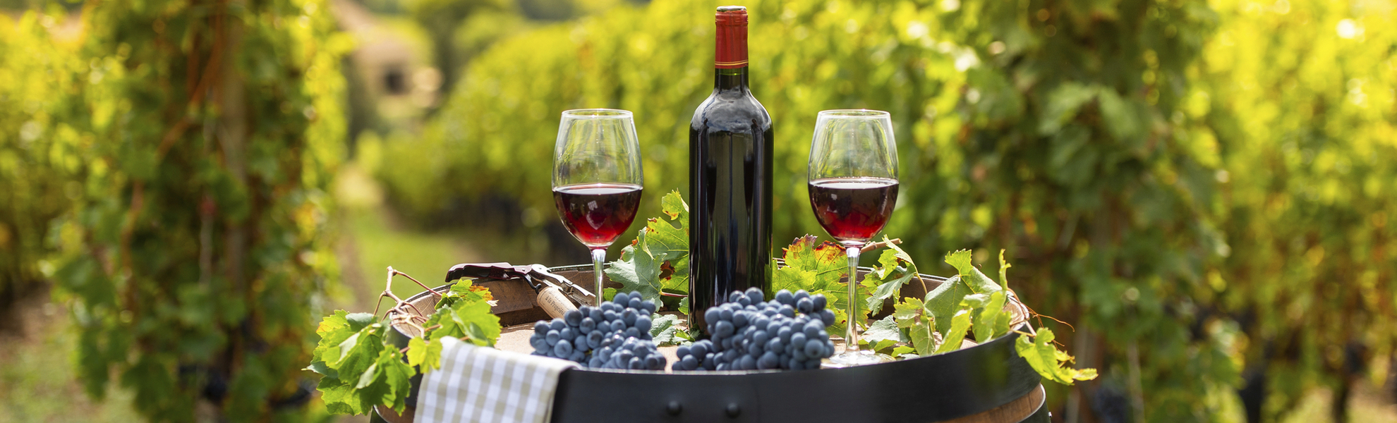 Bordeaux, Weinkellerei