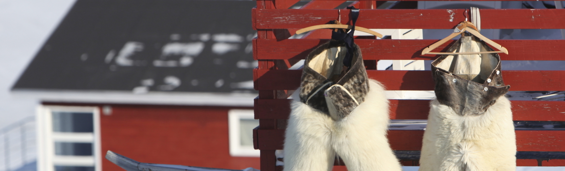 Qaqortoq Gerbereibesuch