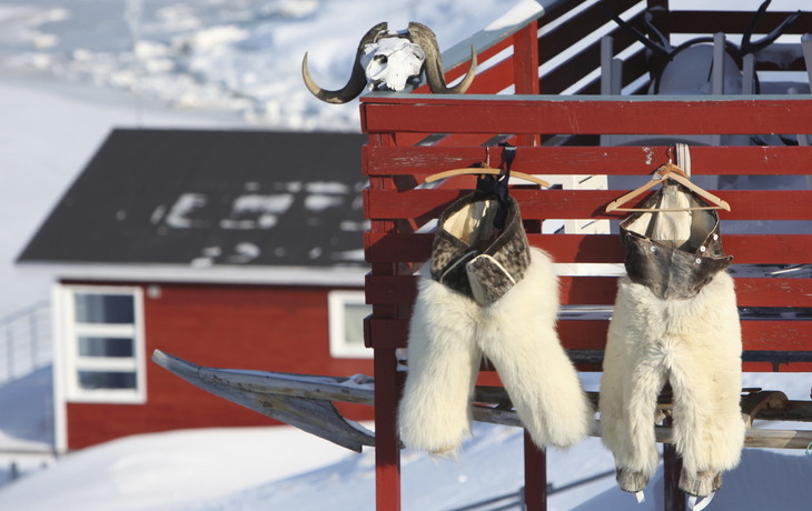 Qaqortoq Gerbereibesuch