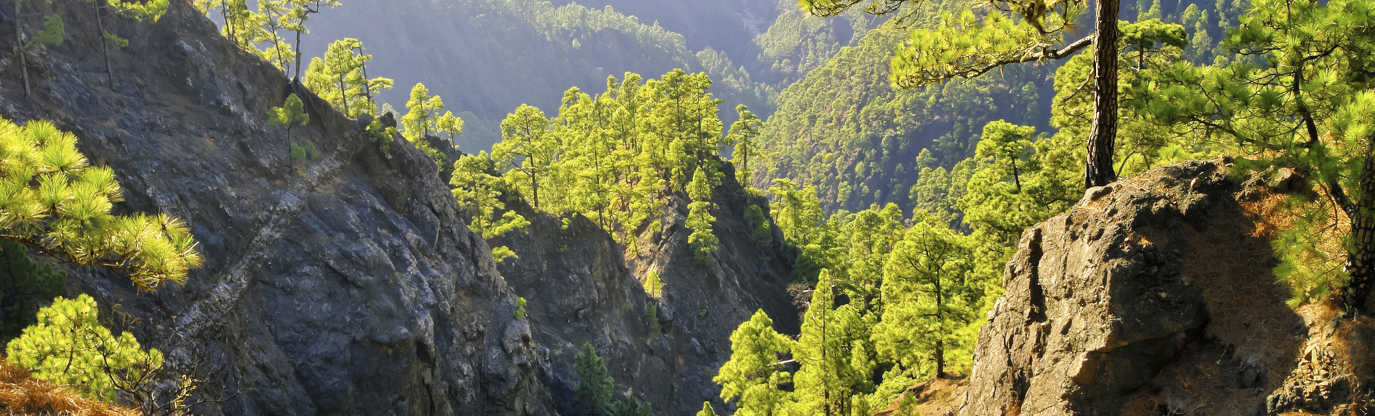 Nationalpark  Caldera de Taburiente in La Palma, Spanien