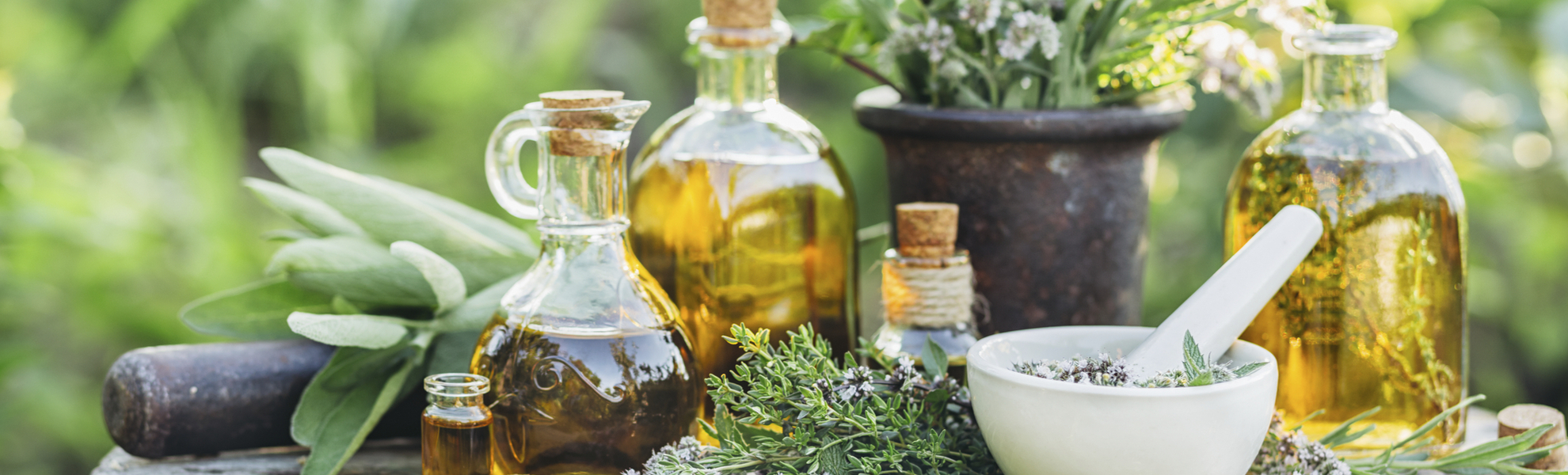 Frische Kräuter, Kreta, Griechenland