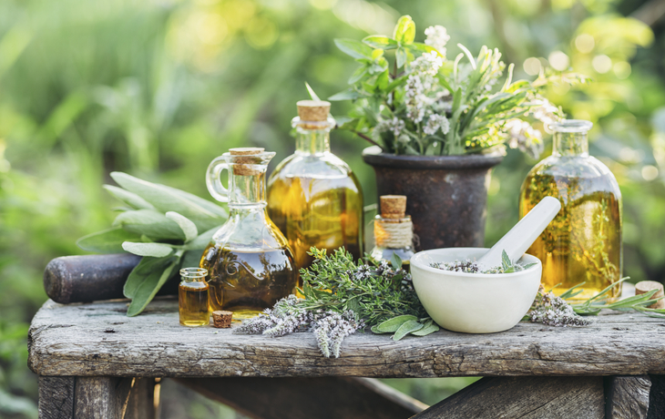 Frische Kräuter, Kreta, Griechenland