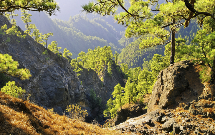 Nationalpark  Caldera de Taburiente in La Palma, Spanien