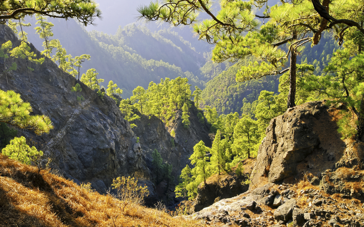 Nationalpark  Caldera de Taburiente in La Palma, Spanien