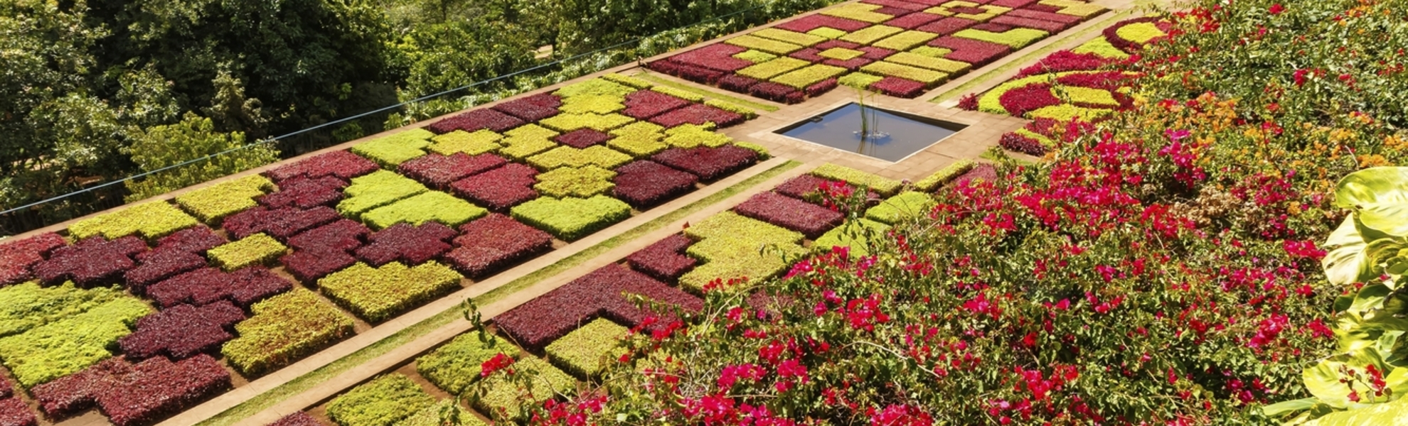 Funchal, Botanischer Garten