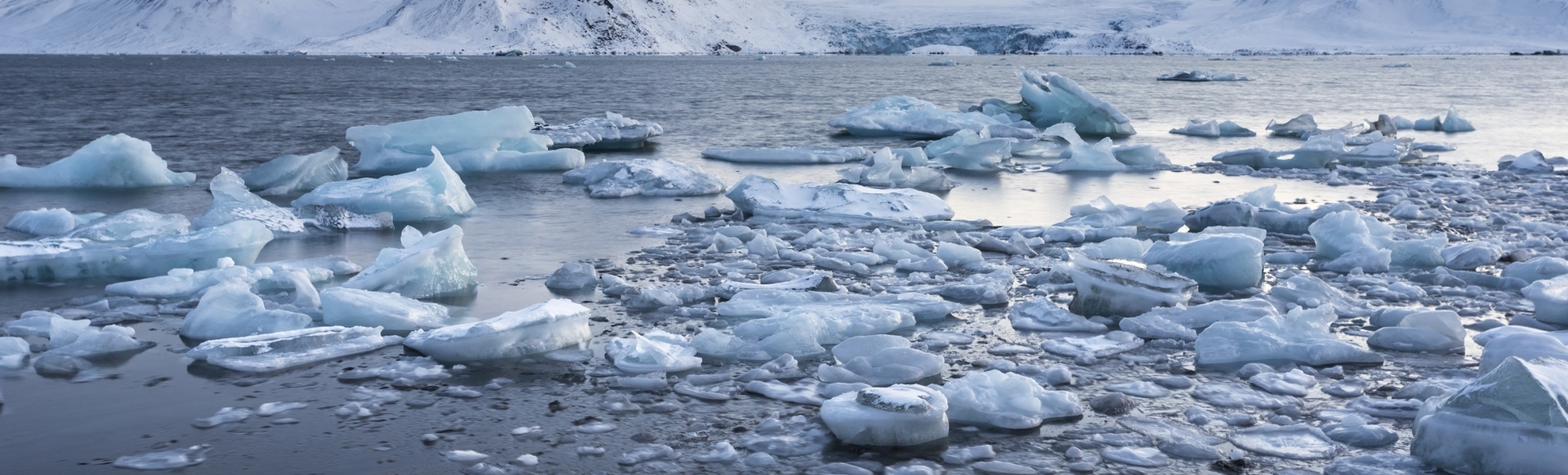 Eisberge in Spitzbergen