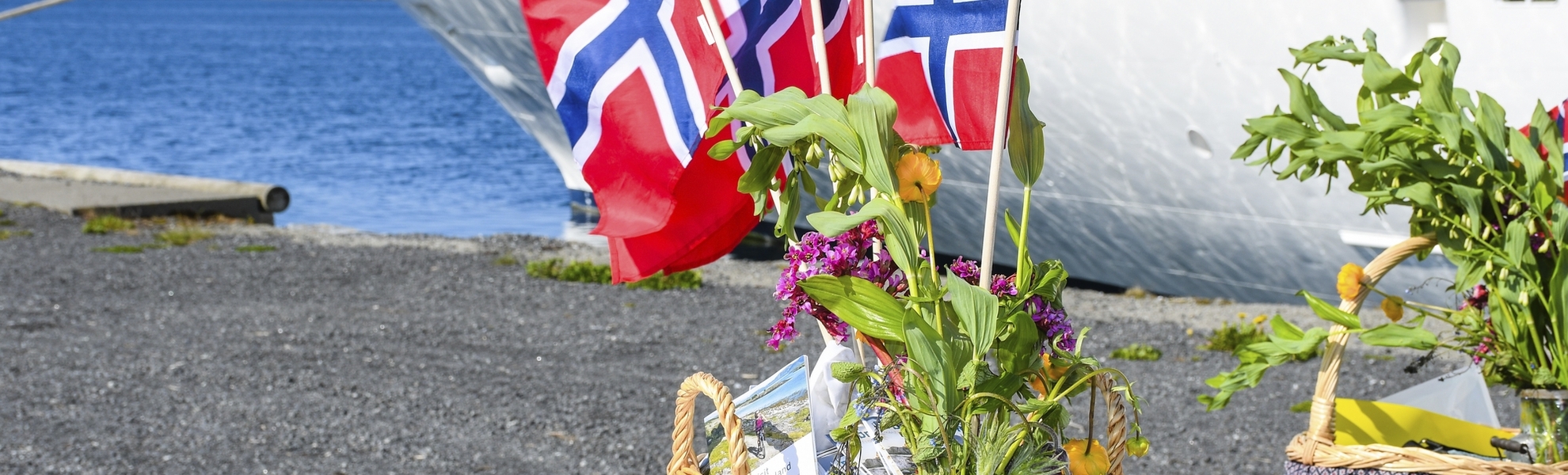 MS Artania in Bronnoysund