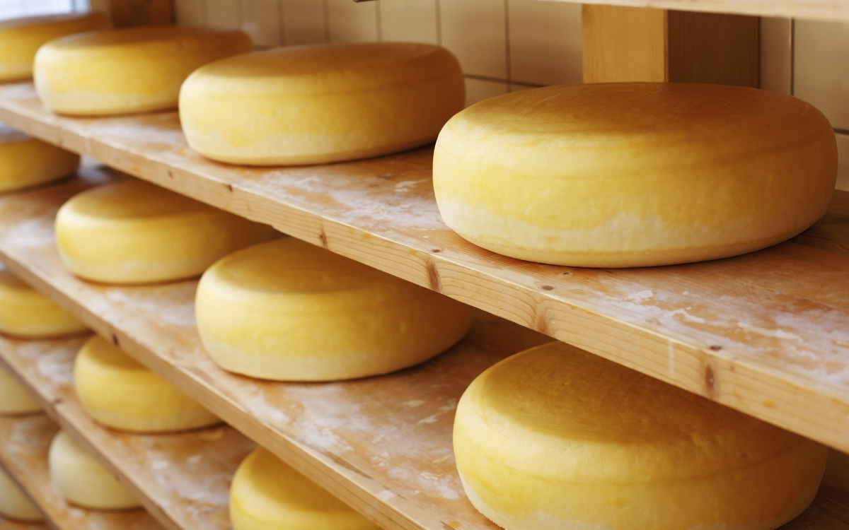 Kaese in der Produktion