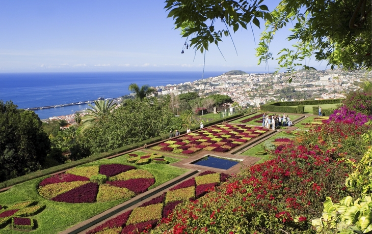 botanischer Garten in Madeira, Portugal