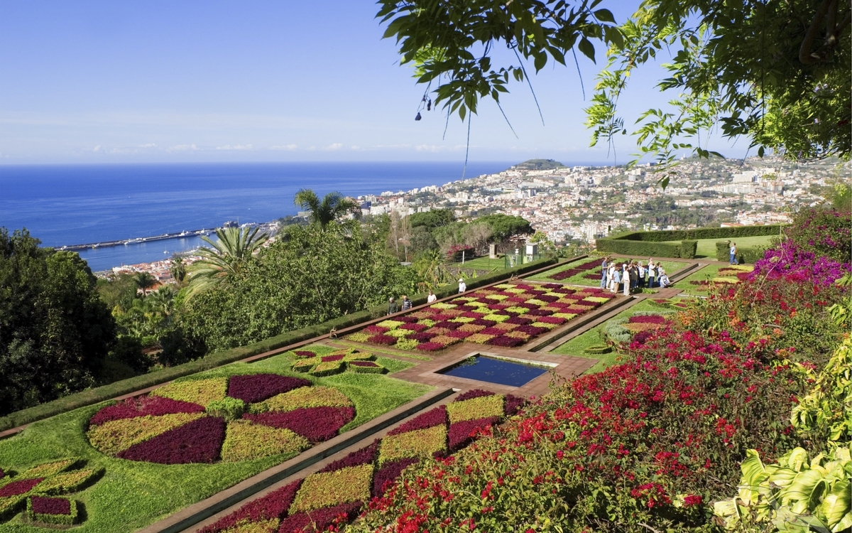 botanischer Garten in Madeira, Portugal