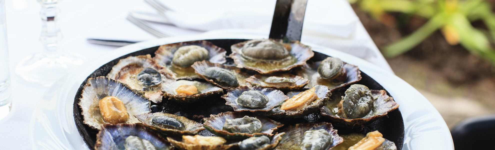 Napfschnecken, Portugal