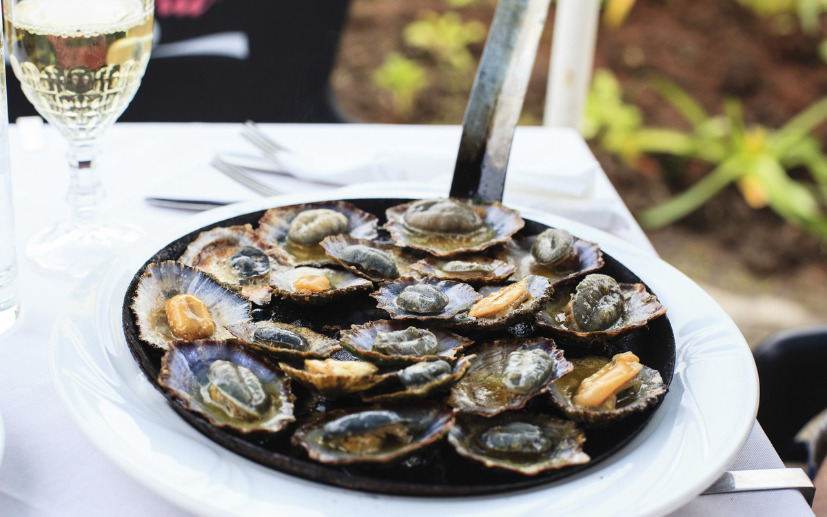 Napfschnecken, Portugal