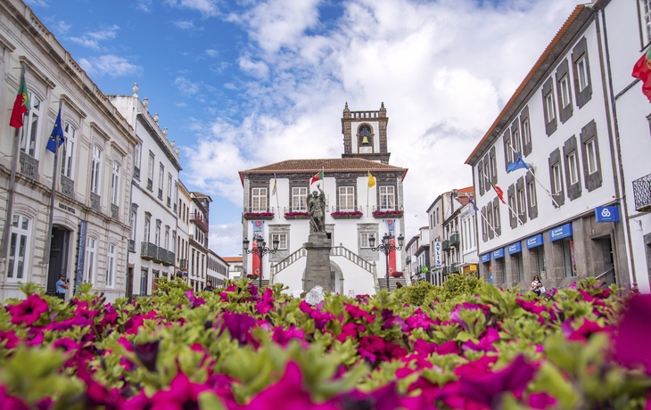 Sao Miguel, Ponta Delgada