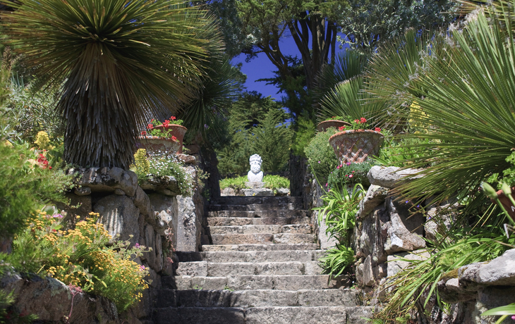 Klostergarten in Tresco, England