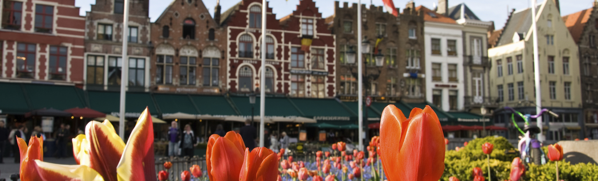 Tulpenpracht am Marktplatz in Brügge, Belgien