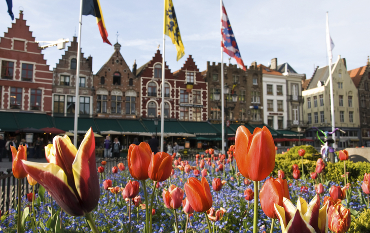 Tulpenpracht am Marktplatz in Brügge, Belgien