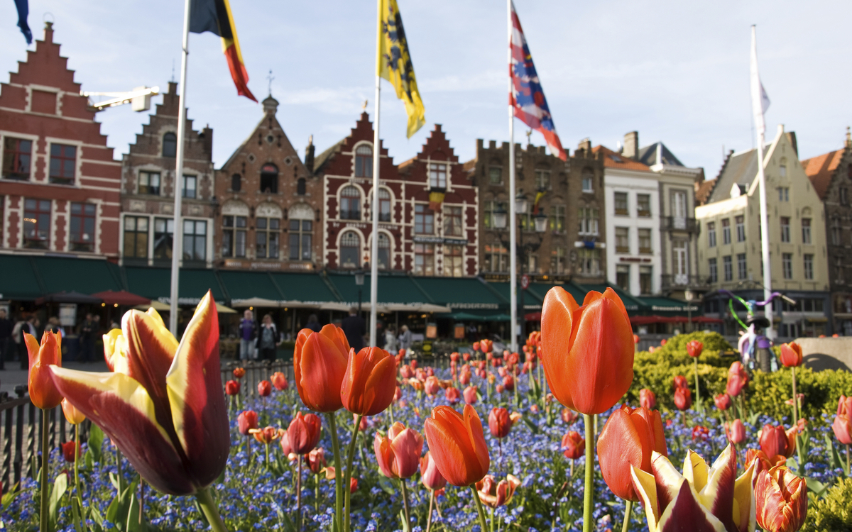 Tulpenpracht am Marktplatz in Brügge, Belgien
