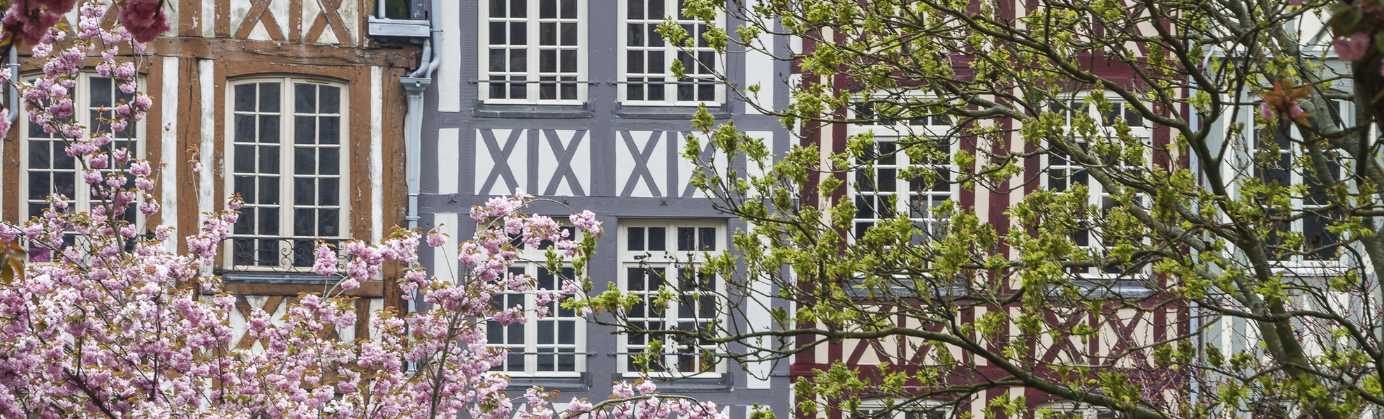 Fachwerkhaeuser in Rouen, Frankreich